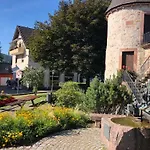 Hirschturmblick