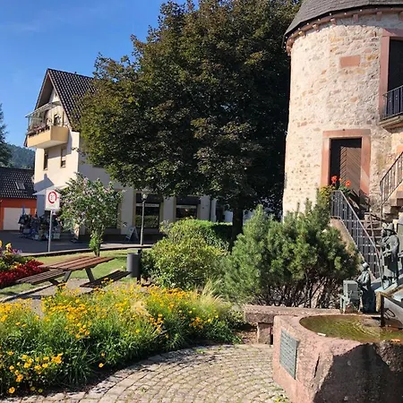 Hirschturmblick