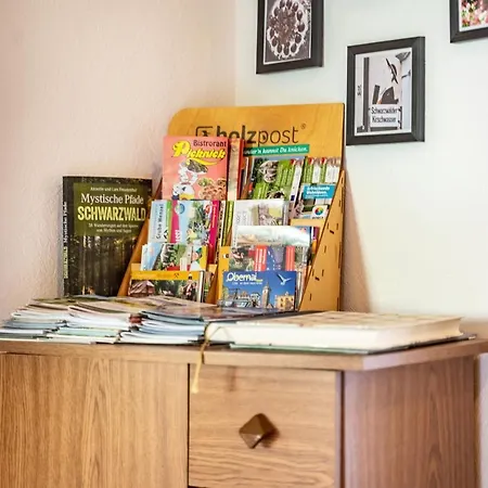 Διαμέρισμα Hirschturmblick